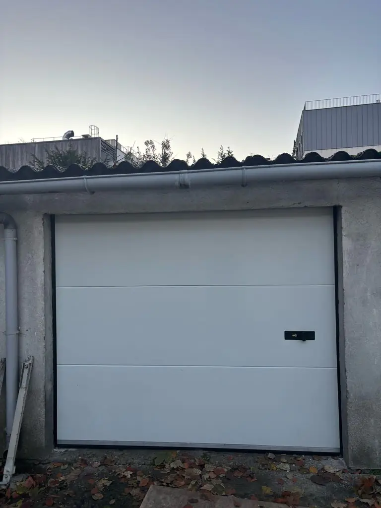 dépannage porte de garage Signy-Signets 77640