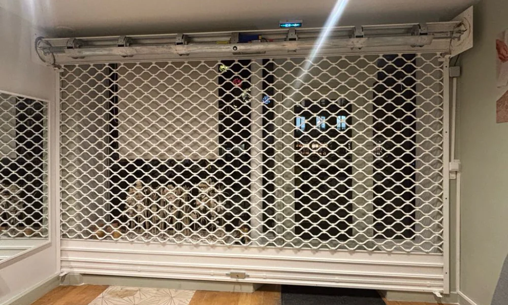 Réparation grille métallique à Nemours (77140)