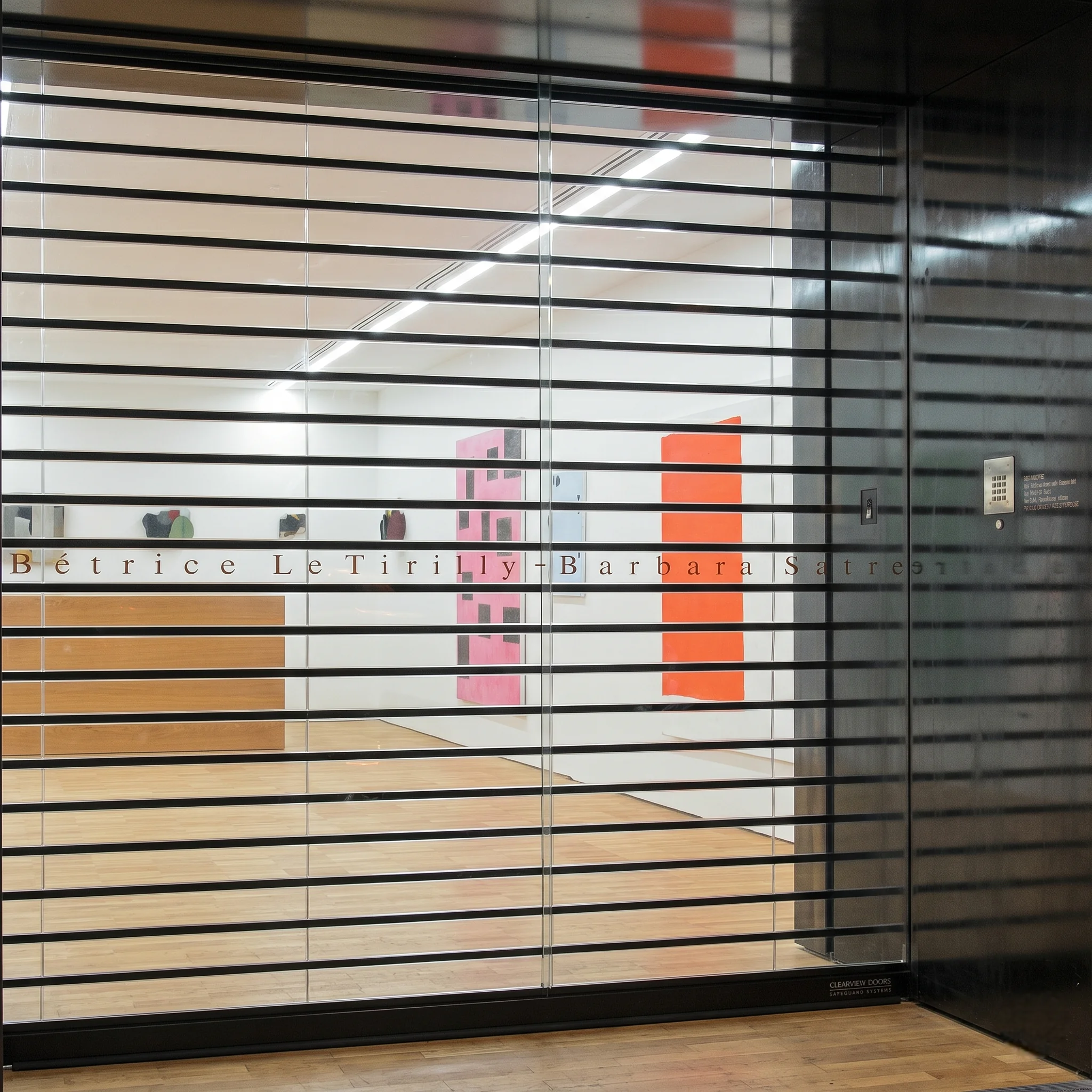 Rideau métallique à lames transparentes